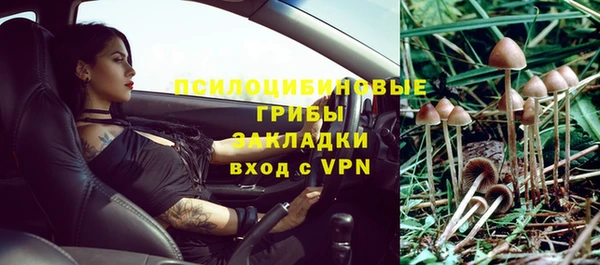 метадон Алексин